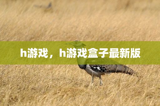 h游戏，h游戏盒子最新版
