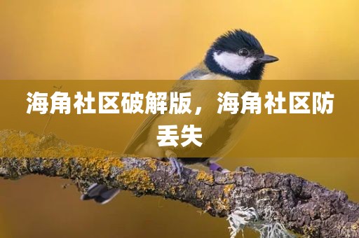 海角社区破解版，海角社区防丢失