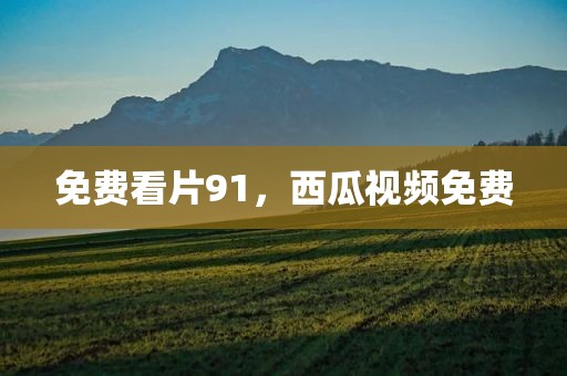 免费看片91，西瓜视频免费
