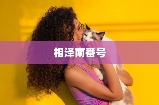 相泽南番号