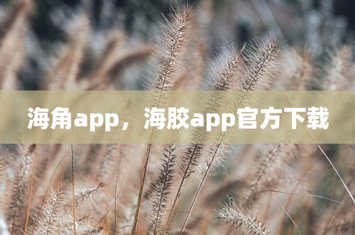 海角app，海胶app官方下载