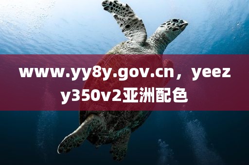 www.yy8y.gov.cn，yeezy350v2亚洲配色