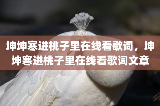 坤坤寒进桃子里在线看歌词，坤坤寒进桃子里在线看歌词文章