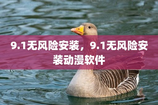 9.1无风险安装，9.1无风险安装动漫软件