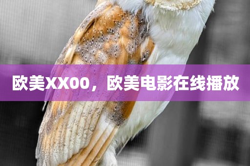 欧美XX00，欧美电影在线播放