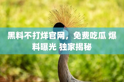 黑料不打烊官网，免费吃瓜 爆料曝光 独家揭秘