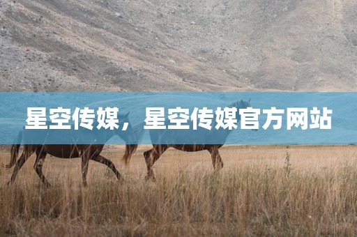 星空传媒，星空传媒官方网站