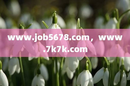 www.job5678.com，www.7k7k.com