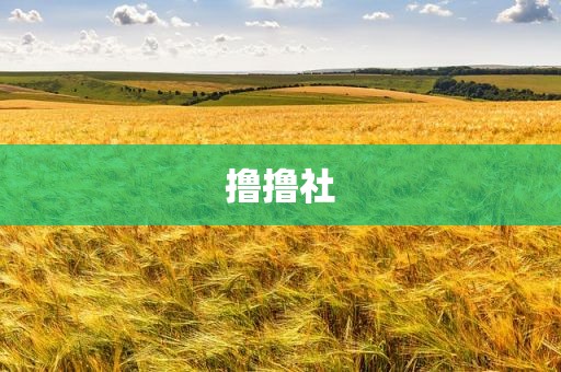 撸撸社