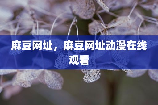 麻豆网址，麻豆网址动漫在线观看