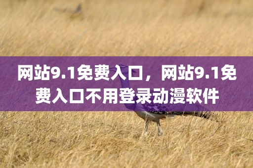 网站9.1免费入口，网站9.1免费入口不用登录动漫软件
