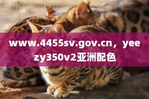 www.4455sv.gov.cn，yeezy350v2亚洲配色