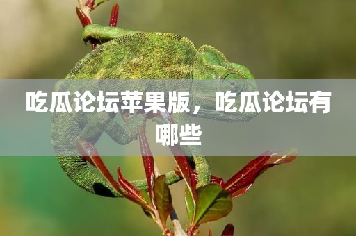 吃瓜论坛苹果版，吃瓜论坛有哪些