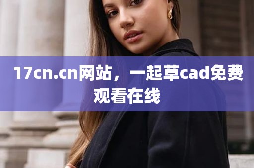17cn.cn网站，一起草cad免费观看在线