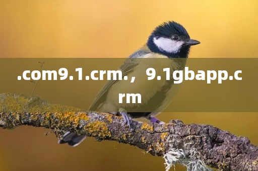 .com9.1.crm.，9.1gbapp.crm
