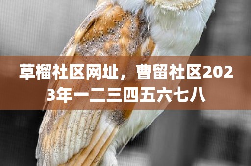 草榴社区网址，曹留社区2023年一二三四五六七八