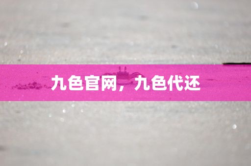 九色官网，九色代还