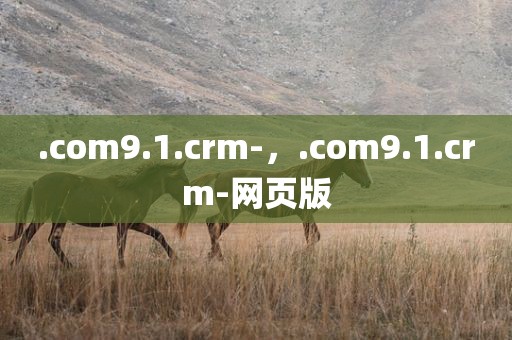 .com9.1.crm-，.com9.1.crm-网页版