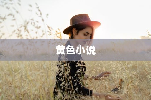 黄色小说