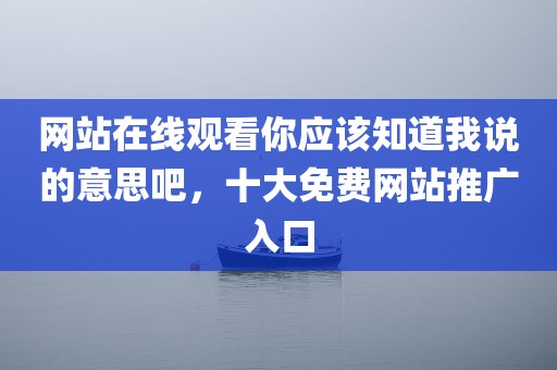 网站在线观看你应该知道我说的意思吧，十大免费网站推广入口