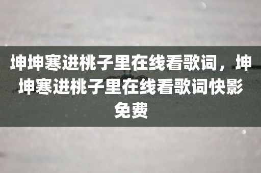 坤坤寒进桃子里在线看歌词，坤坤寒进桃子里在线看歌词快影免费