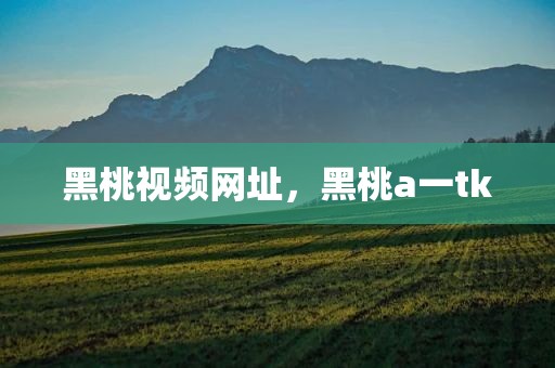 黑桃视频网址，黑桃a一tk