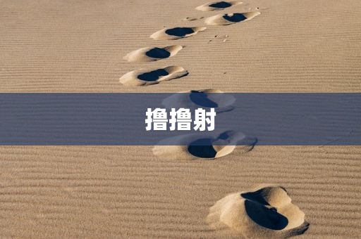 撸撸射