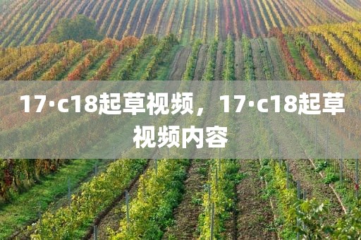 17·c18起草视频，17·c18起草视频内容