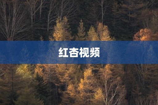 红杏视频