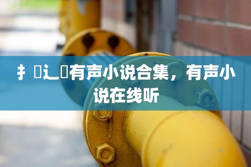 扌喿辶畐有声小说合集，有声小说在线听