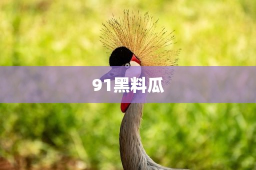 91黑料瓜