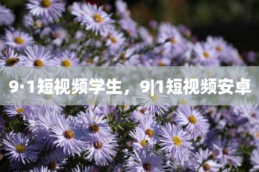 9·1短视频学生，9|1短视频安卓
