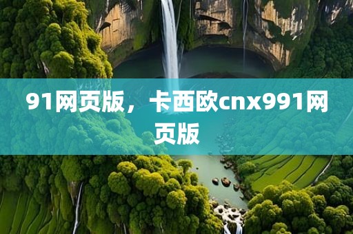 91网页版，卡西欧cnx991网页版