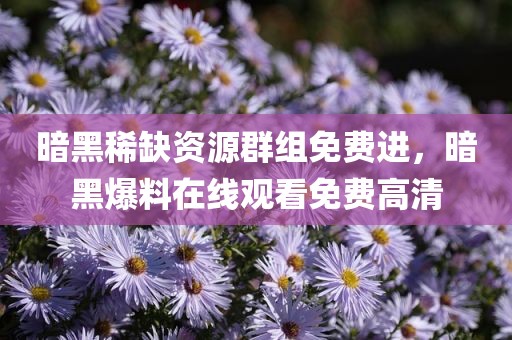 暗黑稀缺资源群组免费进，暗黑爆料在线观看免费高清