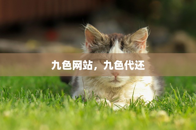 九色网站，九色代还
