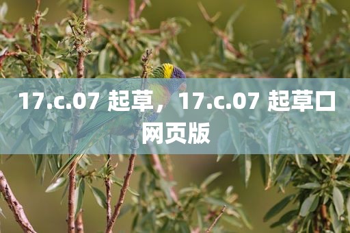 17.c.07 起草，17.c.07 起草口网页版