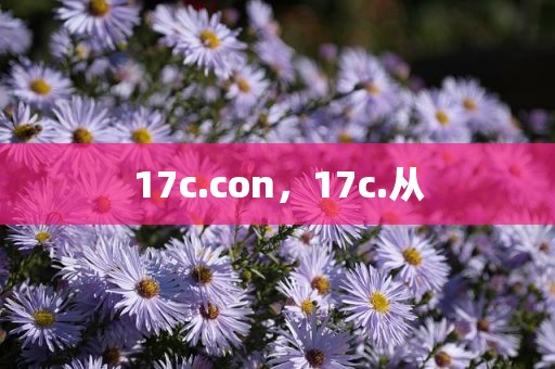 17c.con，17c.从