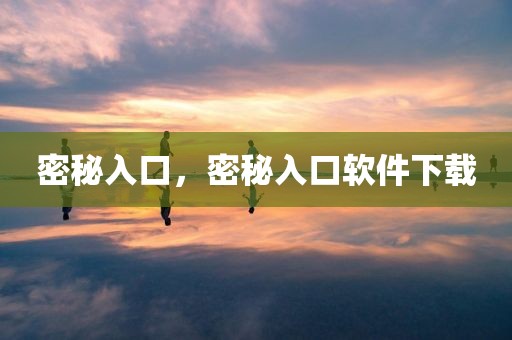 密秘入口，密秘入口软件下载