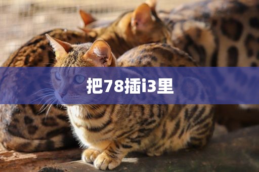 把78插i3里