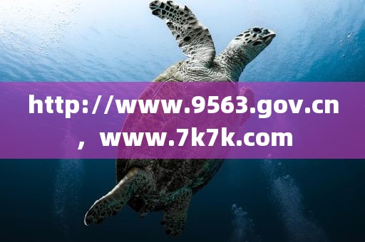 http://www.9563.gov.cn，www.7k7k.com