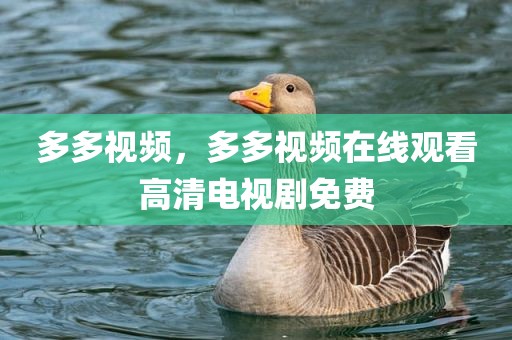 多多视频，多多视频在线观看高清电视剧免费