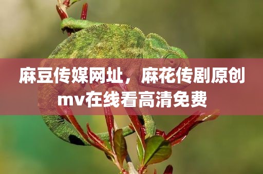 麻豆传媒网址，麻花传剧原创mv在线看高清免费
