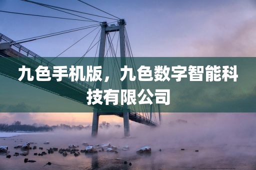 九色手机版，九色数字智能科技有限公司