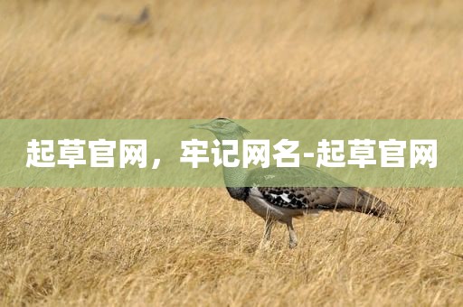起草官网，牢记网名-起草官网