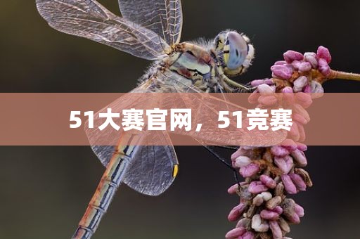 51大赛官网，51竞赛