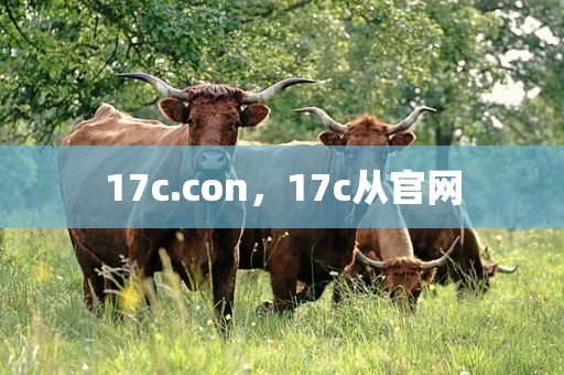 17c.con，17c从官网