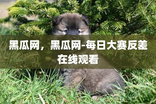 黑瓜网，黑瓜网-每日大赛反差在线观看