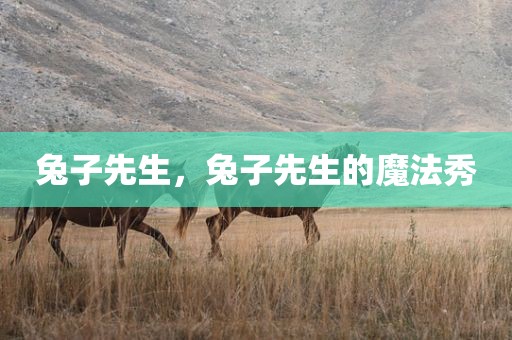 兔子先生，兔子先生的魔法秀