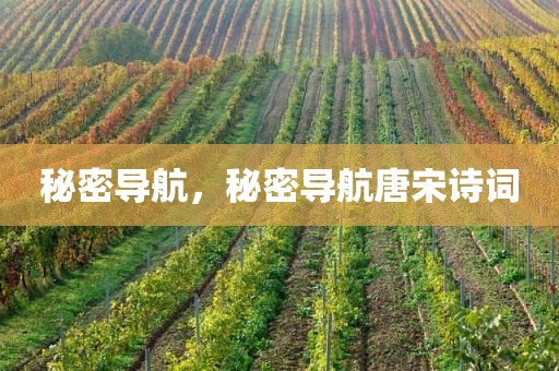 秘密导航，秘密导航唐宋诗词