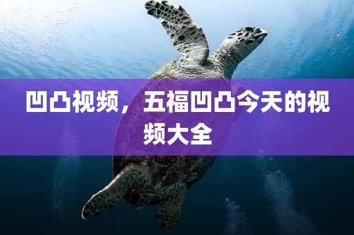 凹凸视频，五福凹凸今天的视频大全